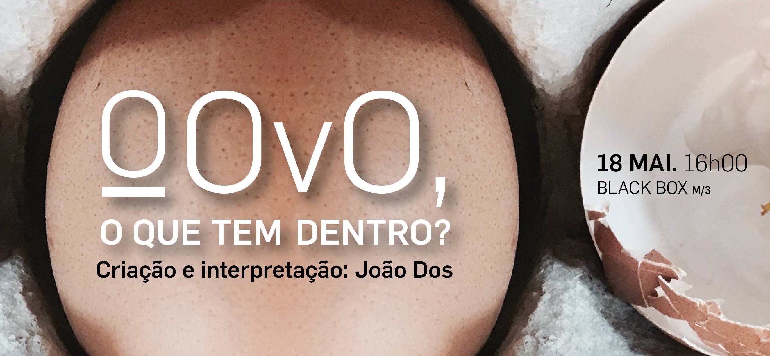 VIVA O OvO o que tem dentro TEMPO 133I 19